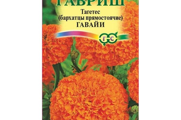 Кракен даркнет скачать
