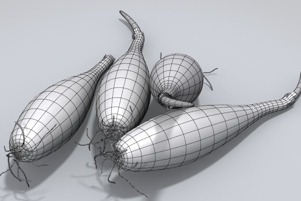 Kraken 11at