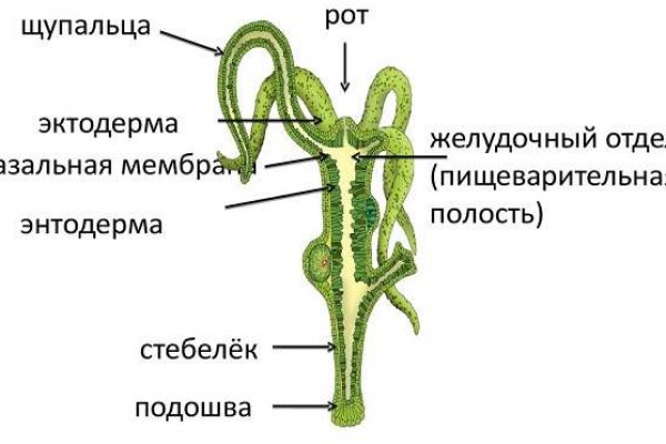 Кракен запрещенные вещества