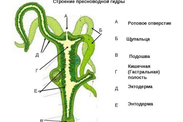 Кракен ссылка призыва нет