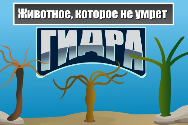 Кракен это гидра