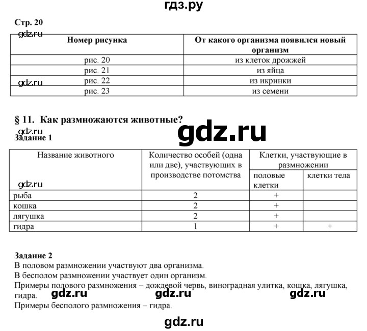 Ссылка кракен не работает